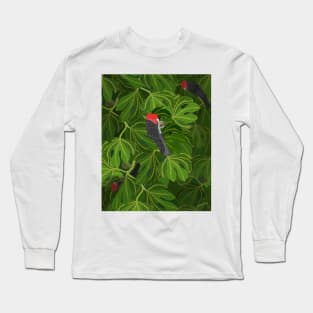 Gang Gangs Feeding in the Fig Tree Long Sleeve T-Shirt